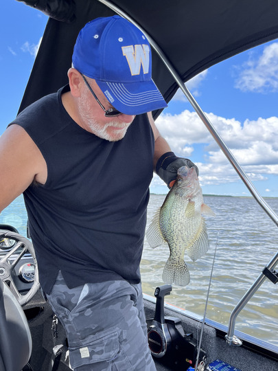 Black Crappie
