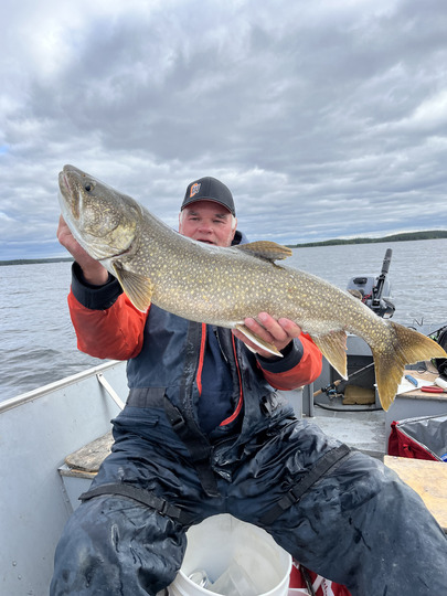 Lake Trout