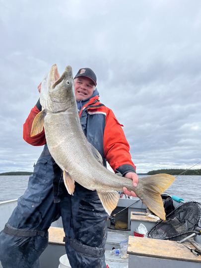 Lake Trout