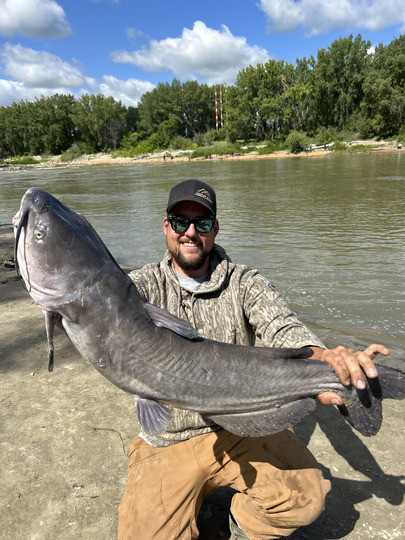 Channel Catfish