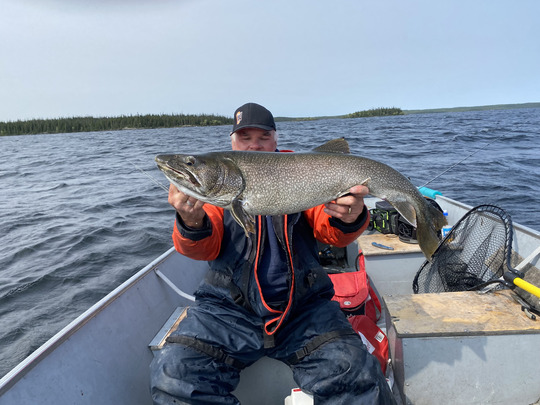 Lake Trout