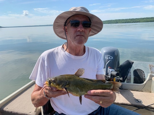Bullhead