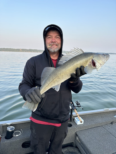 Walleye