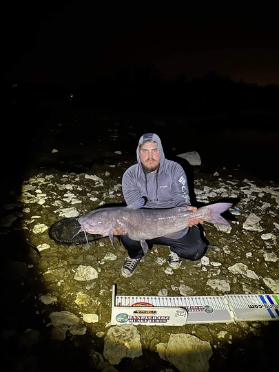 Channel Catfish