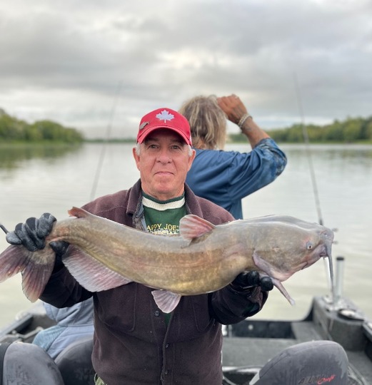 Channel Catfish