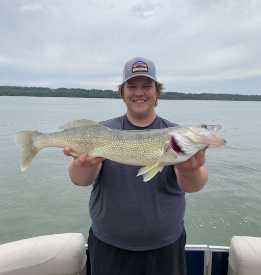 Walleye