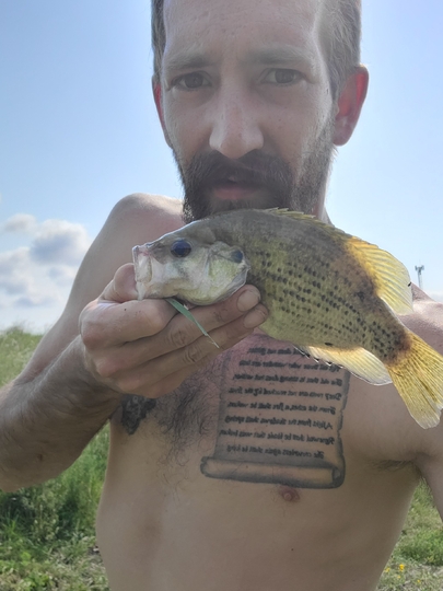 Rock Bass