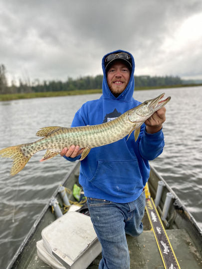 Muskellunge