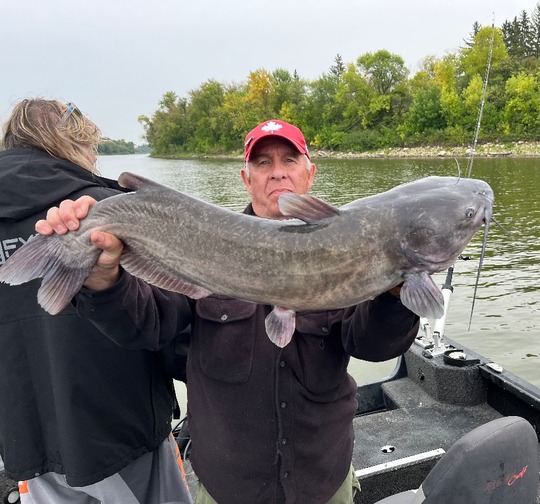 Channel Catfish