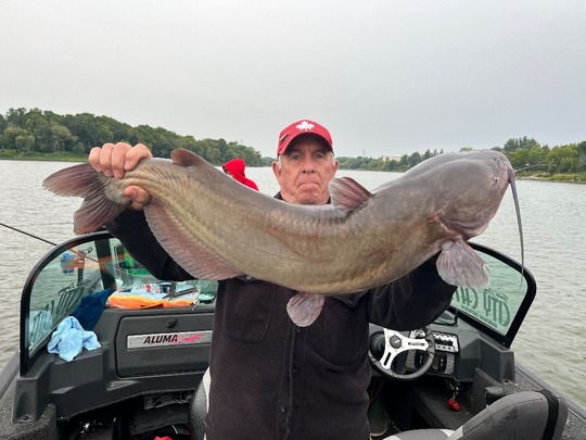 Channel Catfish