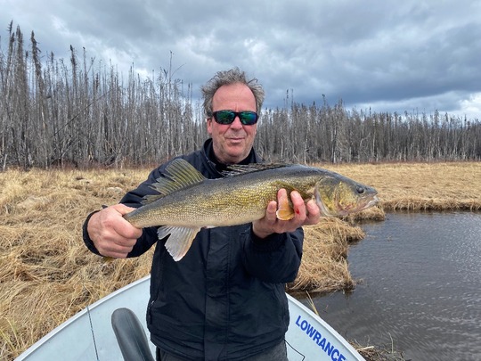 Walleye