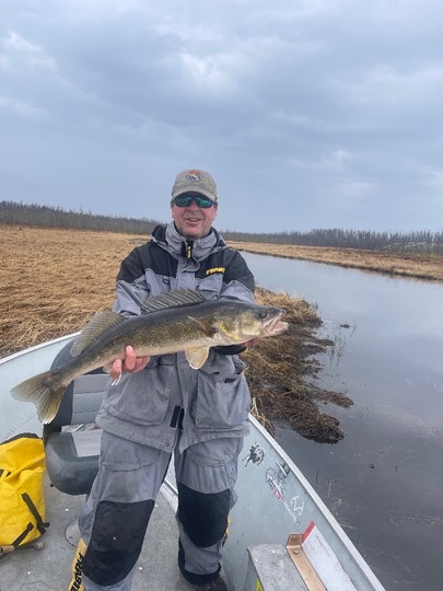 Walleye