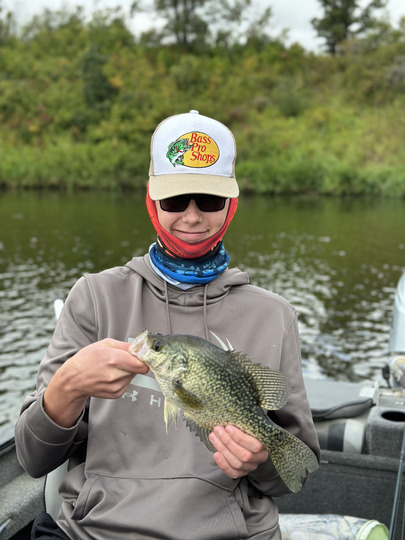 Black Crappie