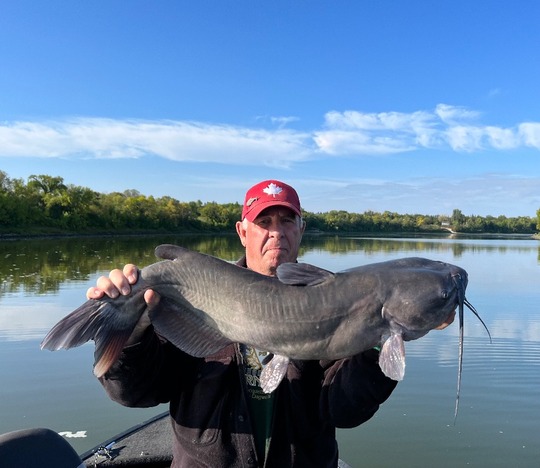 Channel Catfish