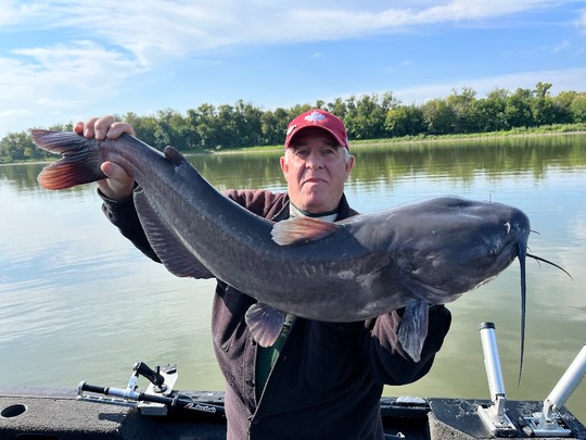 Channel Catfish