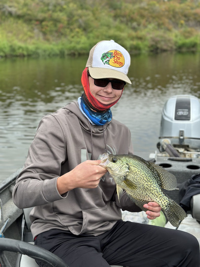 Black Crappie