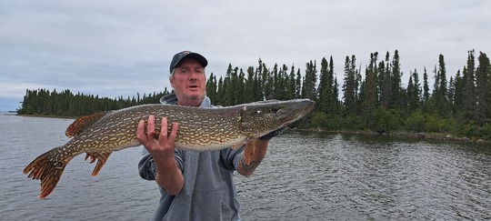 Northern Pike