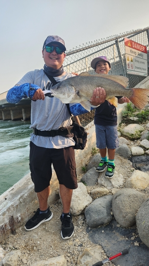 Freshwater Drum