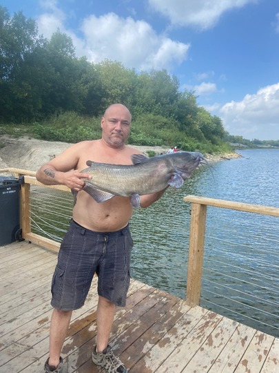 Channel Catfish