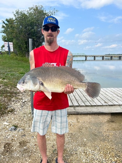 Freshwater Drum