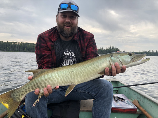 Muskellunge