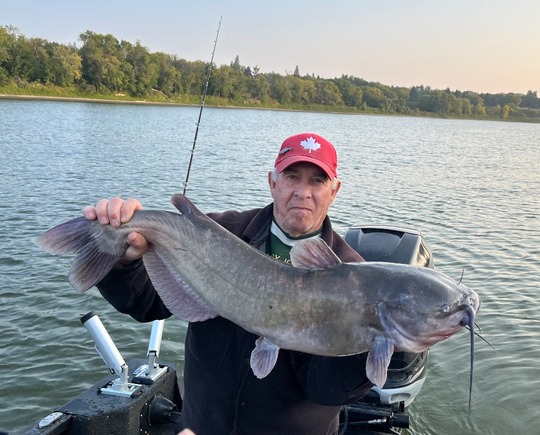 Channel Catfish