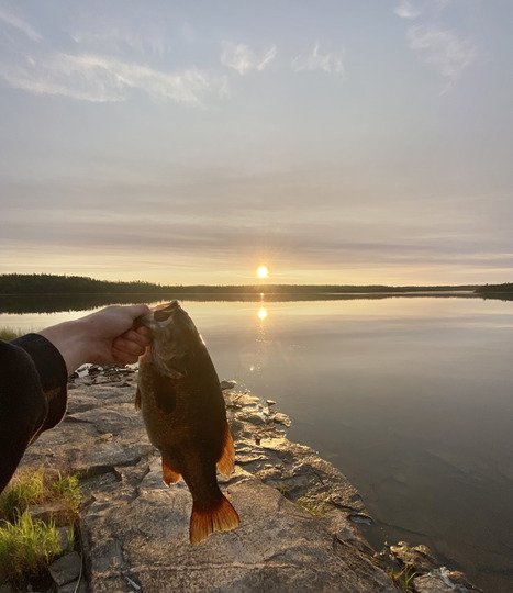 Smallmouth Bass