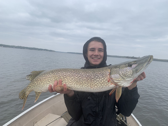 Northern Pike