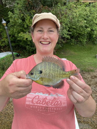 Sunfish