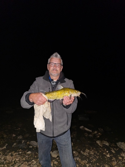 Bullhead