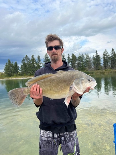 Freshwater Drum