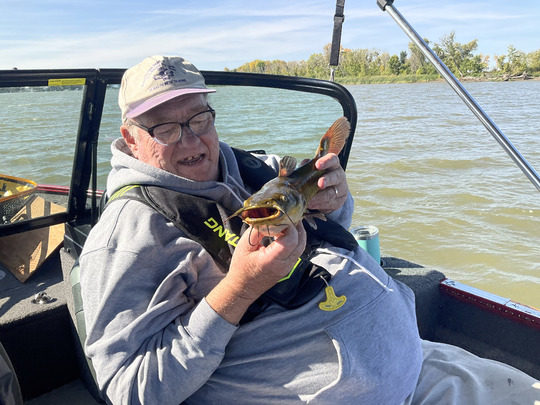 Bullhead