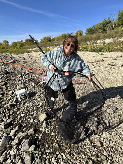 Channel Catfish