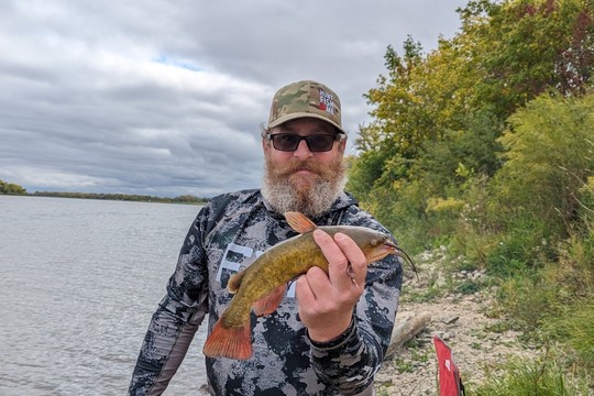 Bullhead