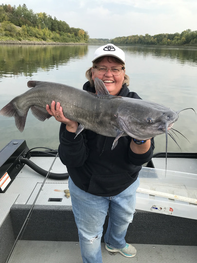 Channel Catfish