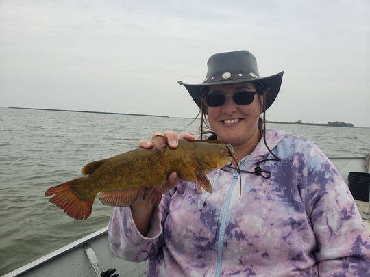 Bullhead