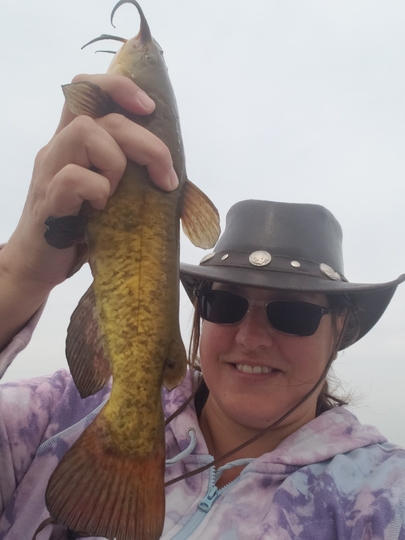 Bullhead