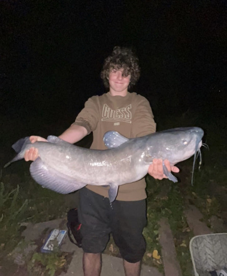 Channel Catfish