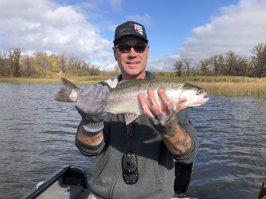 Rainbow Trout