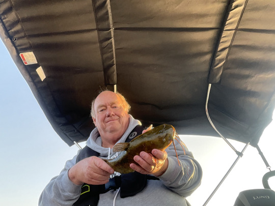 Bullhead
