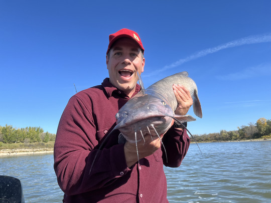 Channel Catfish