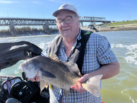 Freshwater Drum