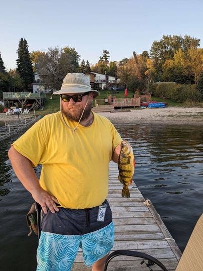 Yellow Perch