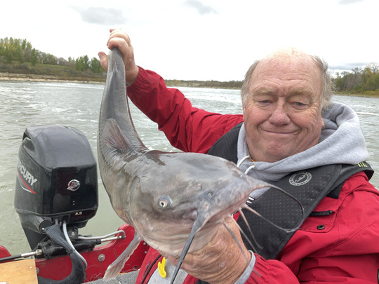 Channel Catfish