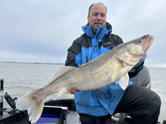 Walleye