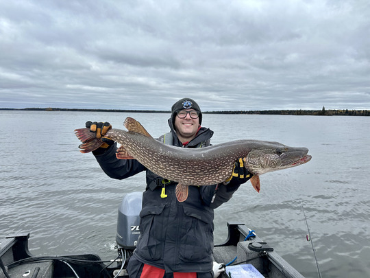 Northern Pike