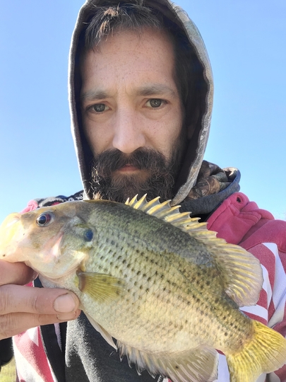 Rock Bass