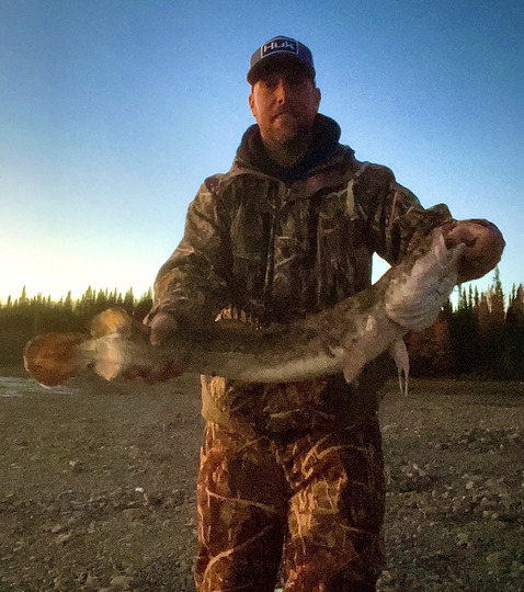 Burbot