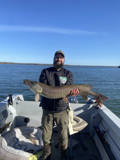 Northern Pike