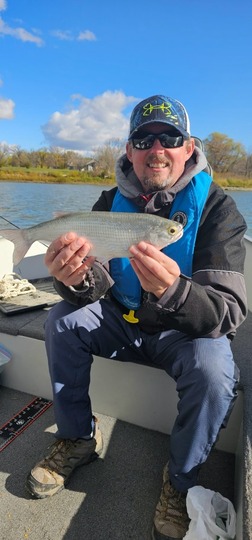 Goldeye